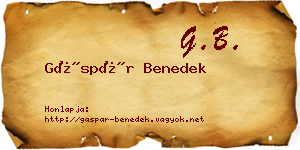 Gáspár Benedek névjegykártya